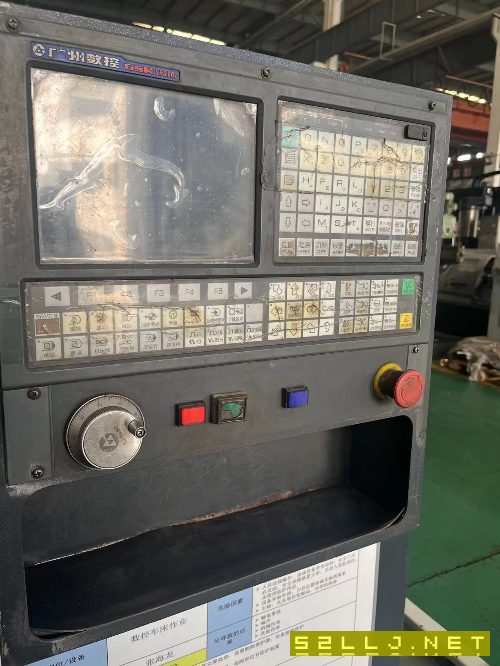 出售精品寶雞50P