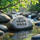 2臺250噸雙點，新款，帶移動臺，倉庫提貨了_